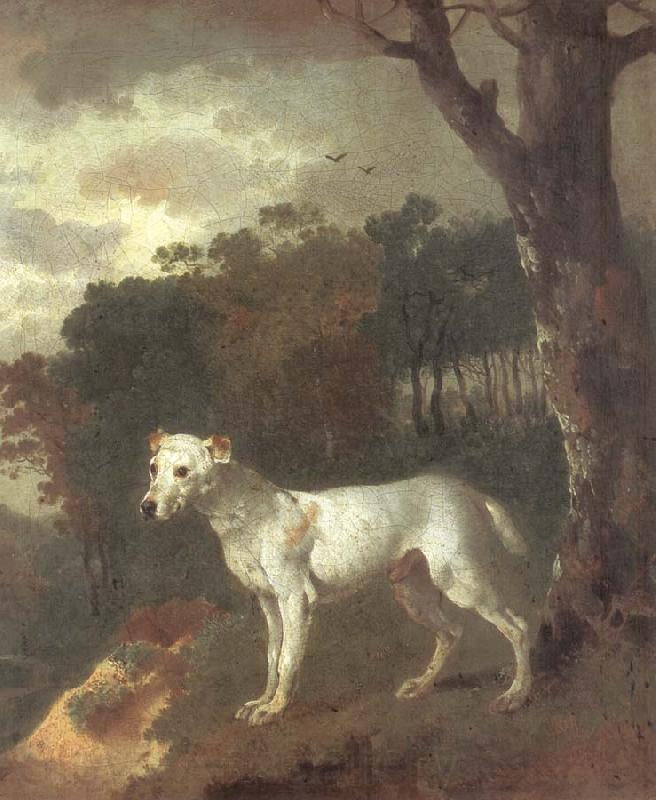 Thomas Gainsborough Bumper,a Bull Terrier Norge oil painting art